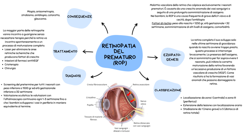 Un'infografica sulla retinopatia del prematuro (ROP) illustra concetti fondamentali quali trattamento, diagnosi e possibili conseguenze a lungo termine, oltre a fornire una rappresentazione dettagliata dell'occhio con la descrizione delle alterazioni della retina.
