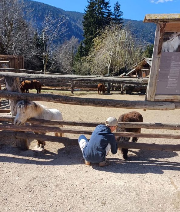 Ein Kind streichelt ein Pony durch den Zaun. Un bambino accarezza un pony attraverso il recinto.
